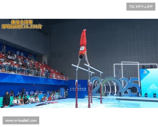 江苏队问鼎中国门球锦标赛 老将队巧妙战术助力夺冠 江苏队问鼎中国门球锦标赛 老将队巧妙战术助力夺冠